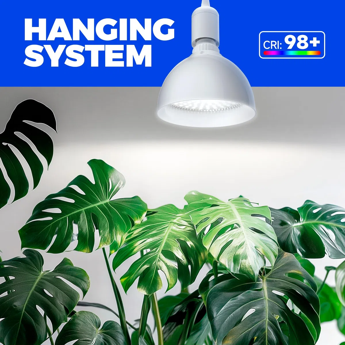 Barrina Lampe à LED pour Plantes avec Minuterie et Suspension, 25W 5000K, 4H/9H/14H Minuterie, Lampe LED à Spectre Complet Plantes d'intérieur pour Semis, Succulentes, Cactus, Croissance