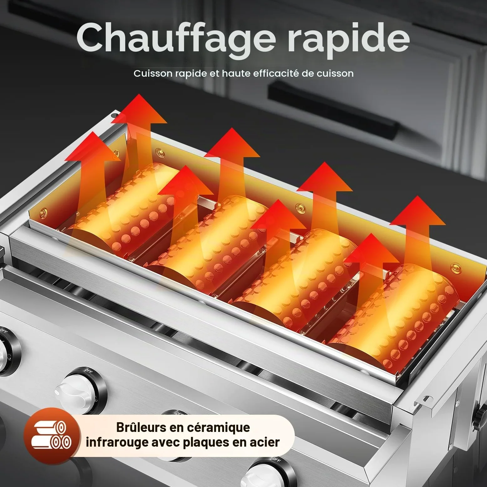 Barbecue à Gaz de Jardin en Acier Inoxydable, Grille de Cuisson Adjustable avec 4 Brûleurs, Surface de Cuisson 55x23 cm, Idéal pour Terrasse, Jardin et Extérieur (Argent)