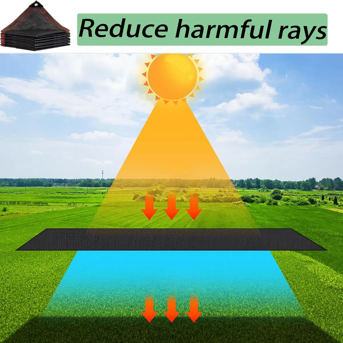 Bâche en Maille Robuste 4,57 M X 9,75 M (15 Pi X 32 Pi), Noire et Durable, avec Œillets Renforcés, Idéale pour Serres, Terrasses, Plantes et Poulaillers. Disponible en 3 M (10 Pi), 6 M (20 P