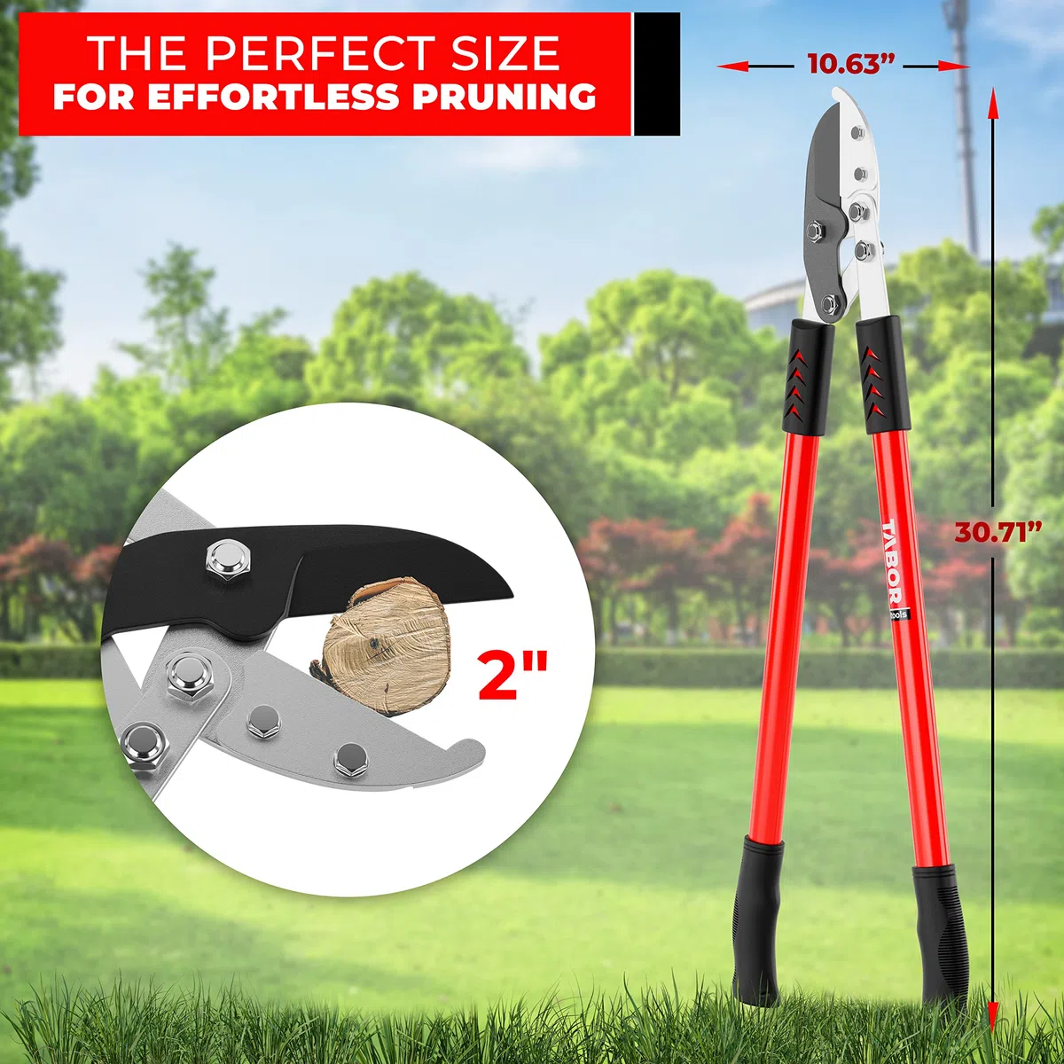 TABOR TOOLS GG12E Élagueur professionnel à enclume, coupe des branches épaisses avec facilité, coupe-arbre avec capacité de coupe de 5 cm, sécateur avec poignées à effet de levier supplémentaires