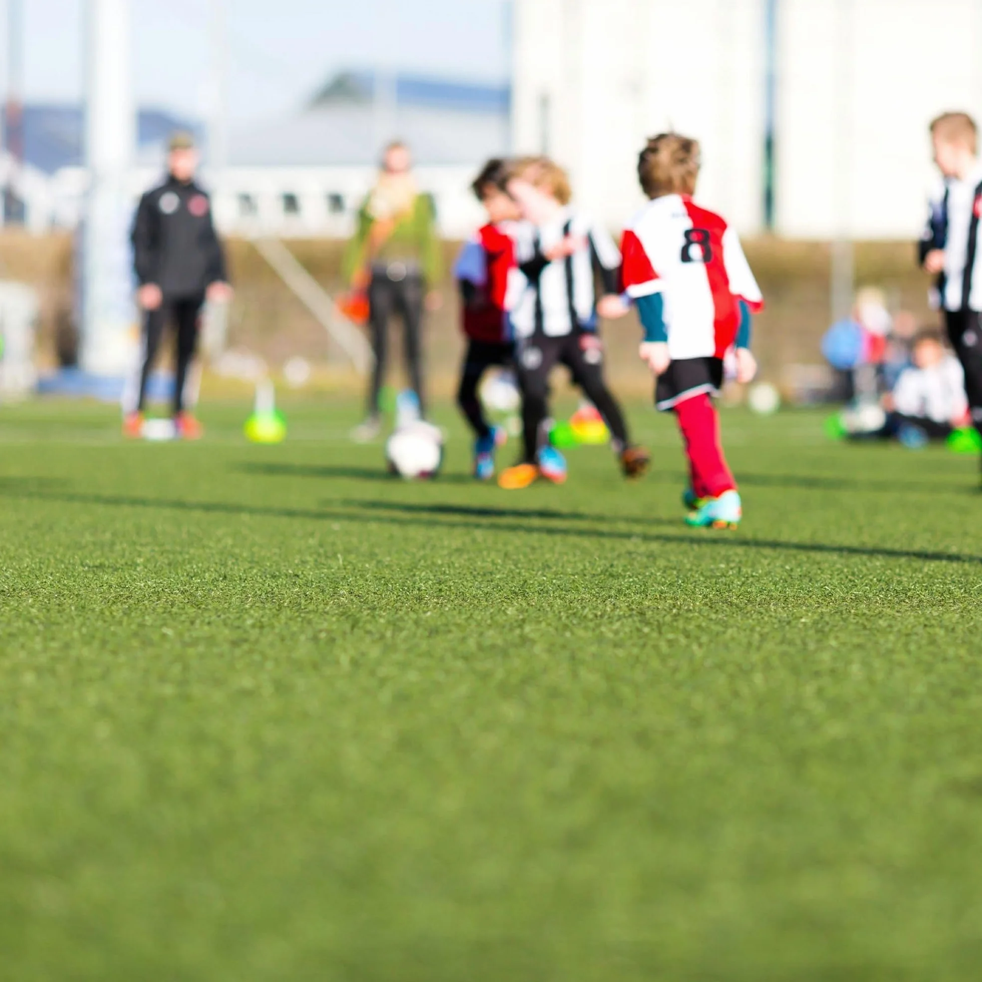 WERKA PRO Gazon Artificiel 1 cm 1 x 10 m Soit 10m²