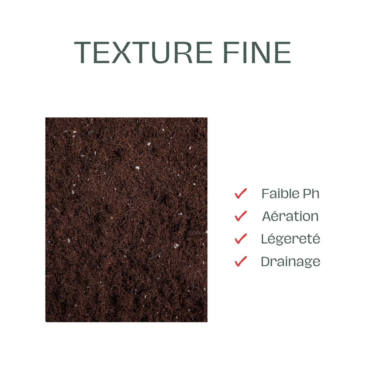 La Plaine Chassart - Terre de Bruyere 50L - pour Toutes Les Plantes Acidophiles - Rhododendrons et Azalées - Usage Intérieur et Extérieur - Parc, Jardin, Terrasse, Balcon, ...