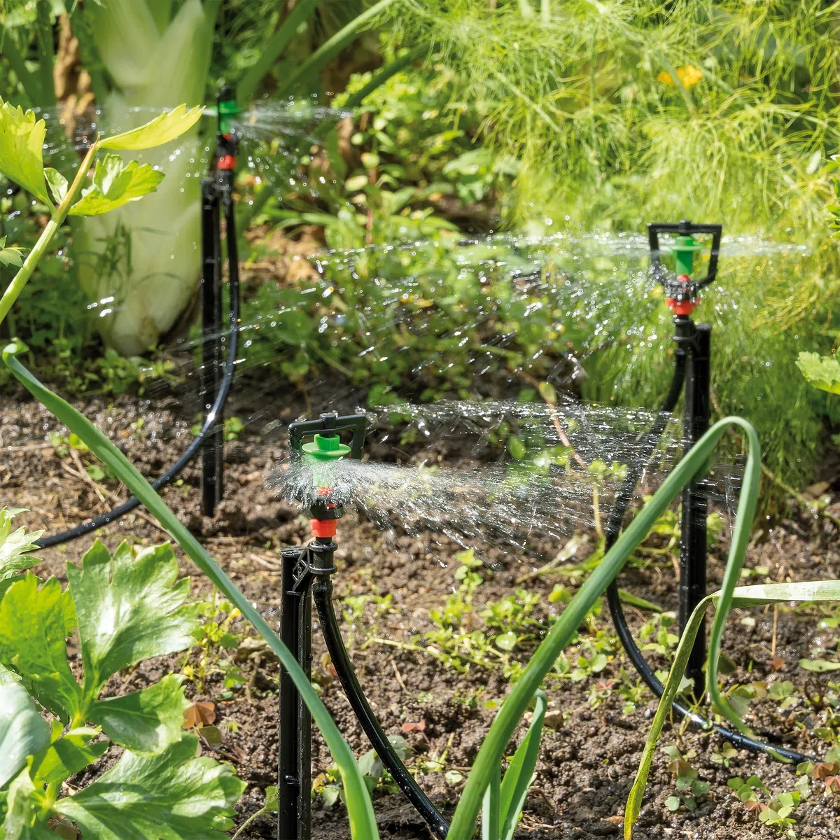 Esotec Solaire Système D'Hyrrigation Watersprinkle Professional - Automatique Irrigation Sur Jusqu'À 6 Wasser-Sprinkler - Simple Et Individuel - pour Jardin Et Plantes Conteneurisées (101121)