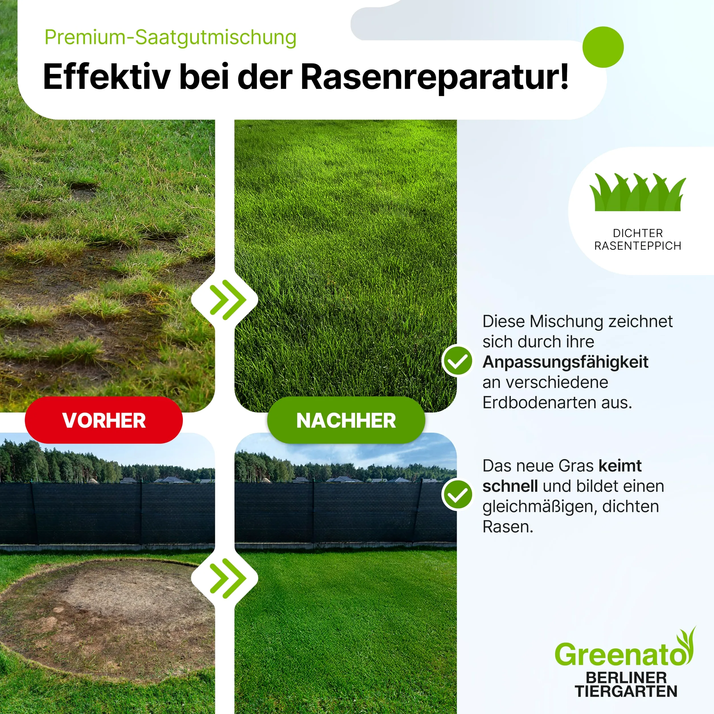 Graines de gazon Greenato Berliner Tiergarten 30kg gazon d'ornement Graines de gazon Graines de gazon - Unité d'emballage au choix de 1-30kg