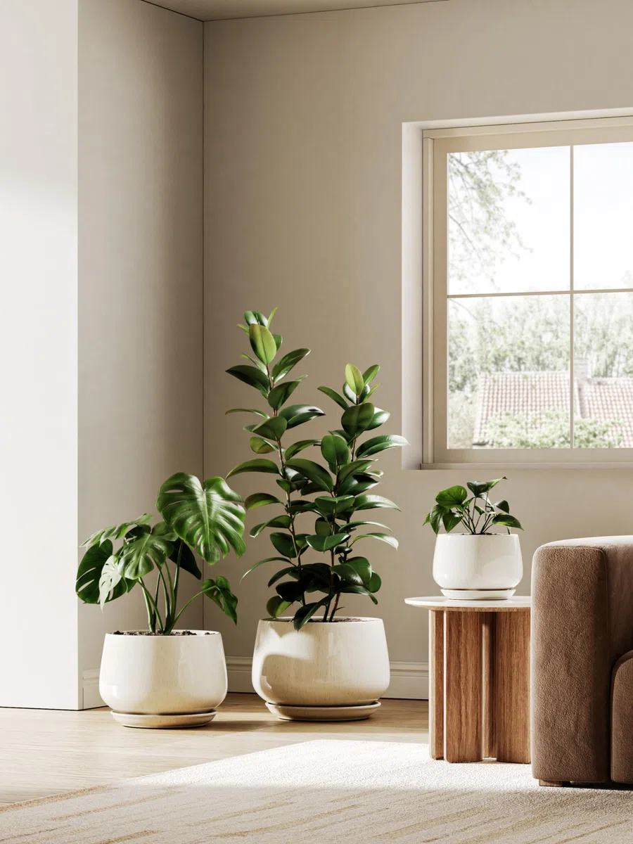 LE TAUCI Pot de Fleurs en Céramique, Pot pour Plantes 30 cm avec Trou de Drainage et Soucoupe, Pot de Fleurs d’Intérieur Durable pour Décoration Moderne de la Maison, Beige