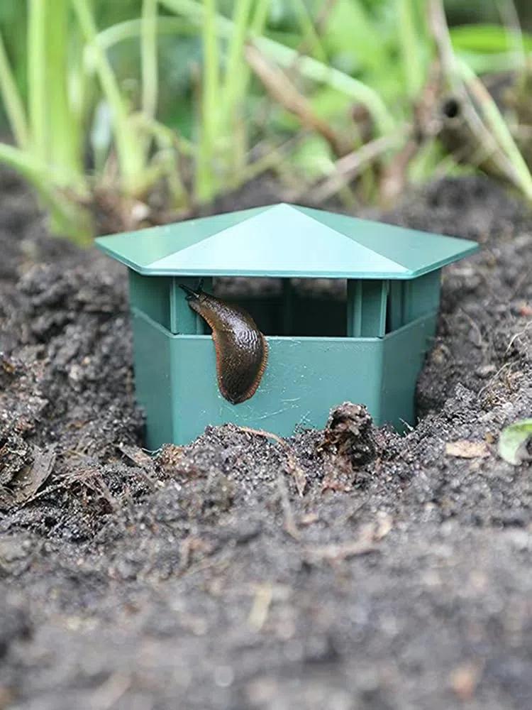 Pièges à Limaces et Escargots, Attrape-Limaces en Plastique Vert, Piège à Bière pour Jardin, Lot de 8 (1)