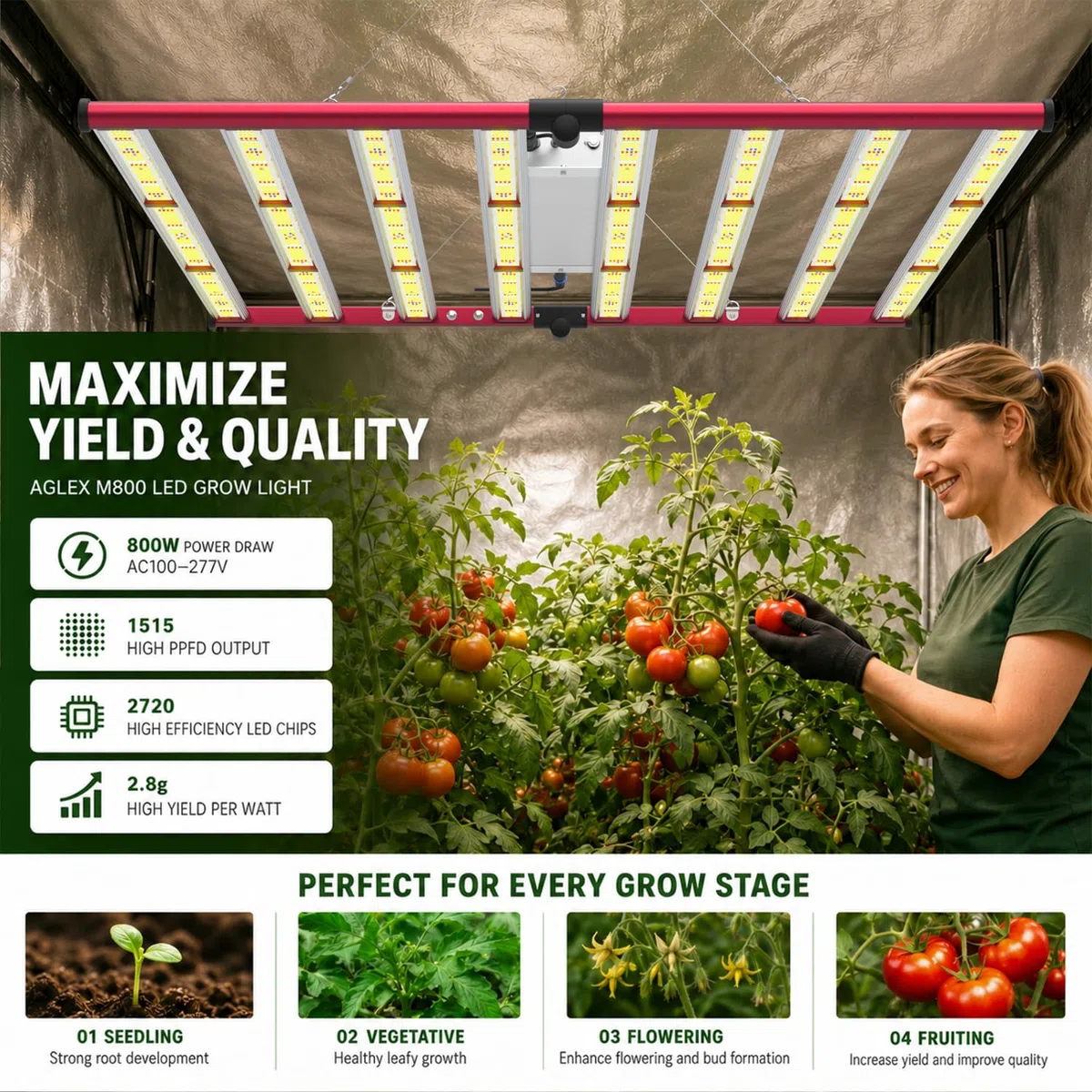 AGLEX 800W Lampes de Culture LED, Lampe Horticole Spectre Complet avec UV IR, Chaînage Pliable & Gradable, Lampe de Culture Style Barre pour Culture en Intérieur, Couverture Centrale 6x6ft