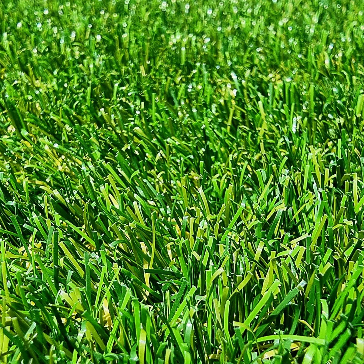 Gazon Synthétique 40mm en 2m de large (2m de large x 6 m de long)