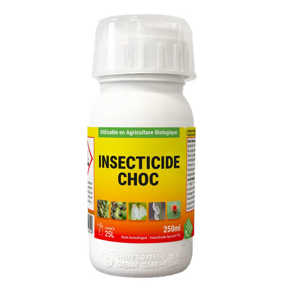 Protecta Insecticide Choc Jardin Concentré - Insecticide Pucerons, Cochenilles, Thrips, Acariens & Araignée Rouge - Plantes, Rosiers et Potager – Utilisable en Agriculture Biologique – 250 ML