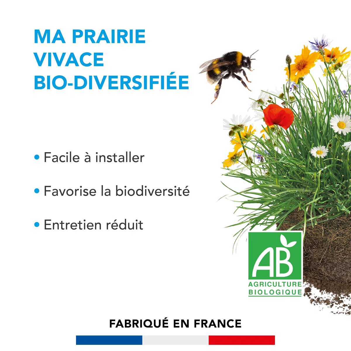 BARENBRUG - Prairie Vivace Biodiversifiée BIO - Facile à Installer - 3KG | Favorise la Biodiversité - Peu d'Entretien - Refuge Naturel pour la Faune - Fabriqué en France