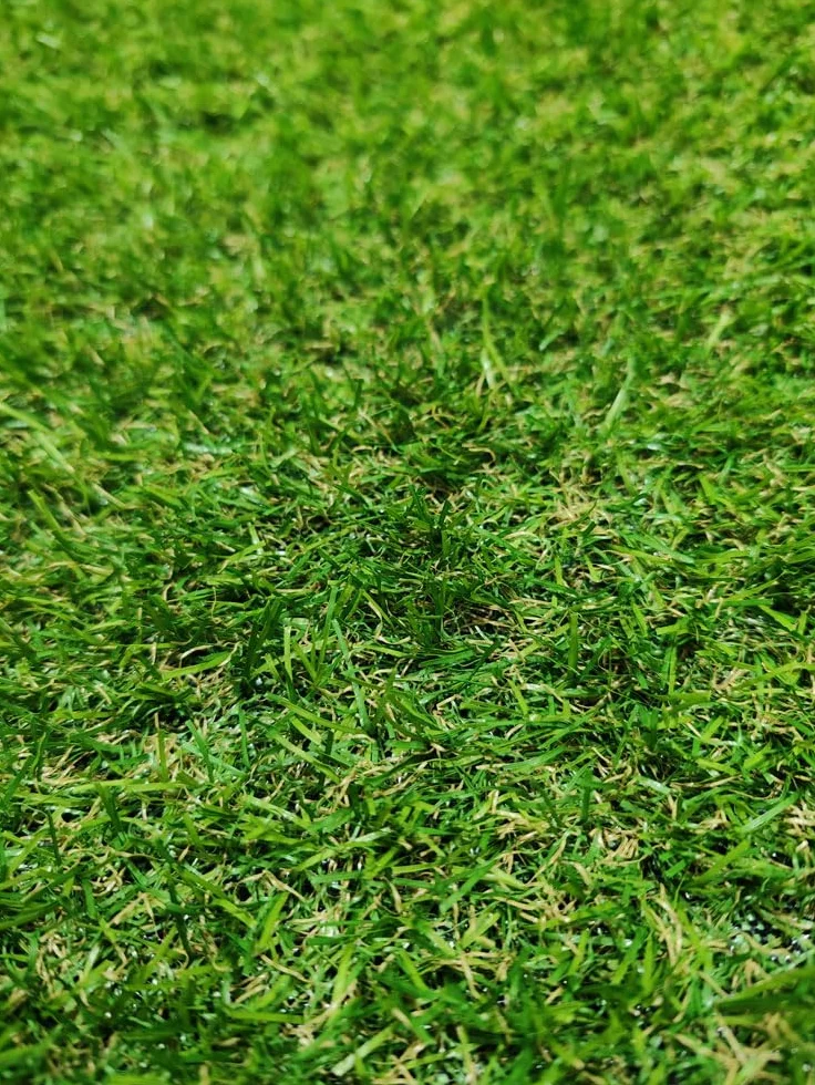 Rouleau de gazon artificiel en moquette pour terrasse ou jardin, hauteur 20 mm, 150 x 200 cm