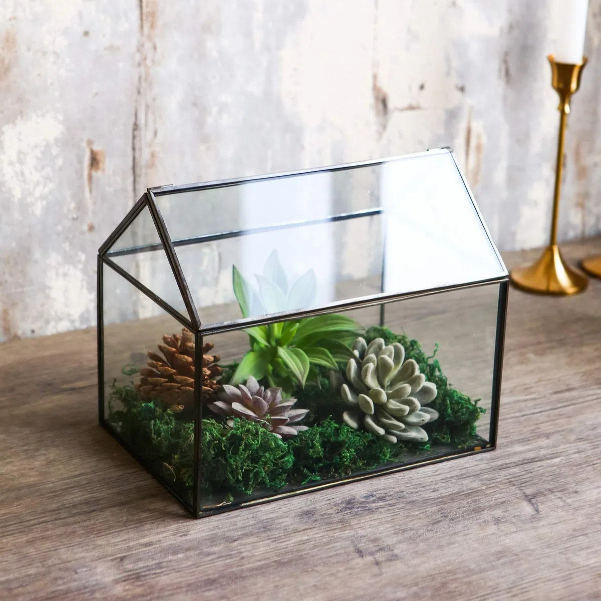 WONSUN Terrarium géométrique en Verre en Forme de Maison avec Couvercle basculant pour Plantes succulentes, Plantes Grasses, Plantes aériennes (Noir)