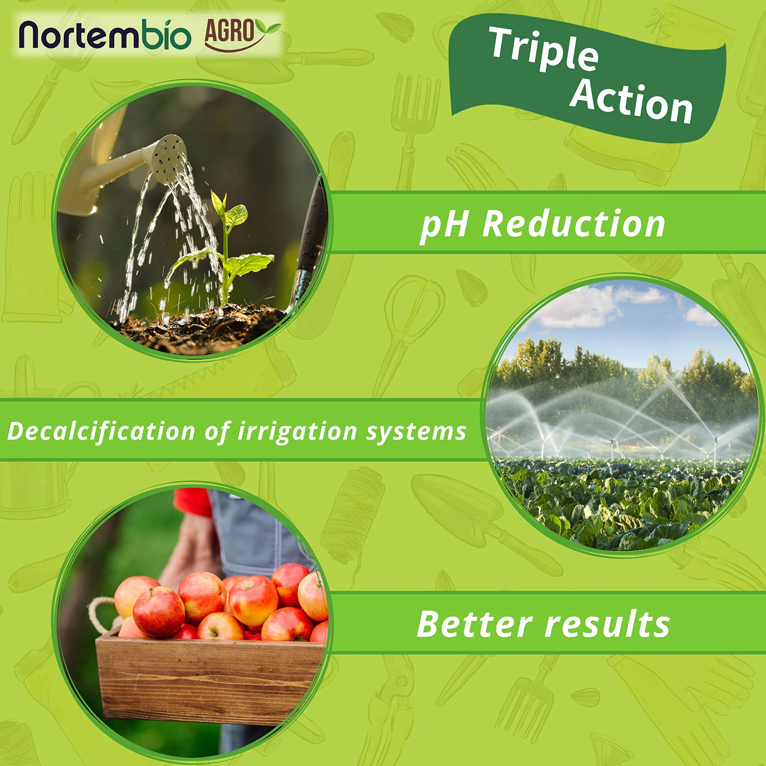 Nortembio Agro Réducteur de pH Écologique 1 L Correcteur Naturel pour Plantes et Cultures, Détartrant pour Irrigation, Améliore la Saveur, l’Arôme et la Croissance Usage Universel