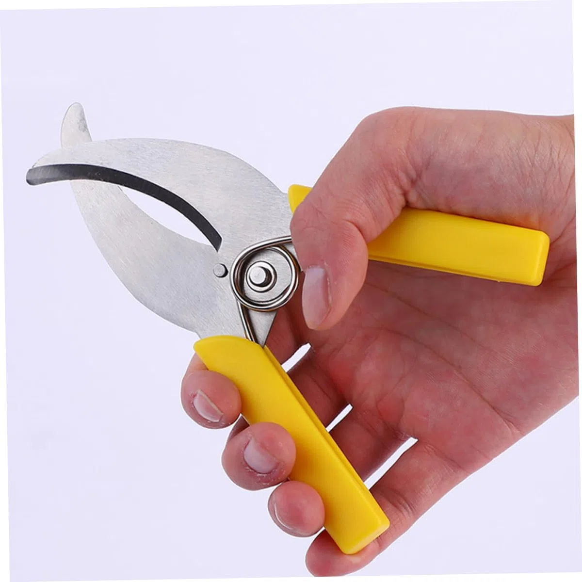 Abaodam 3 Ensembles Cisailles À Ceinturer Outil De Plantation De Fruits Outils À Main Du Jardin Outil De Jardinage À Main Outils À Main Le Jardinage Acier Inoxydable 2 Pièces * 3