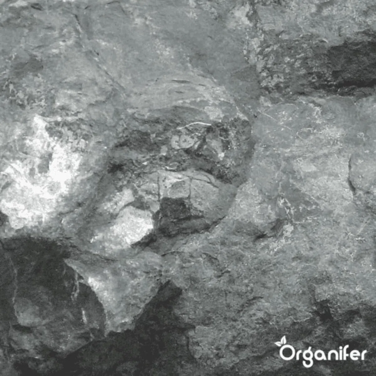 Poudre De Basalte Naturelle - 20 Kg - 200 M2 - Amendement Minéral À Base De Basalte Volcanique - Poudre De Lave Basaltique Pour Jardin Et Sols - Organifer