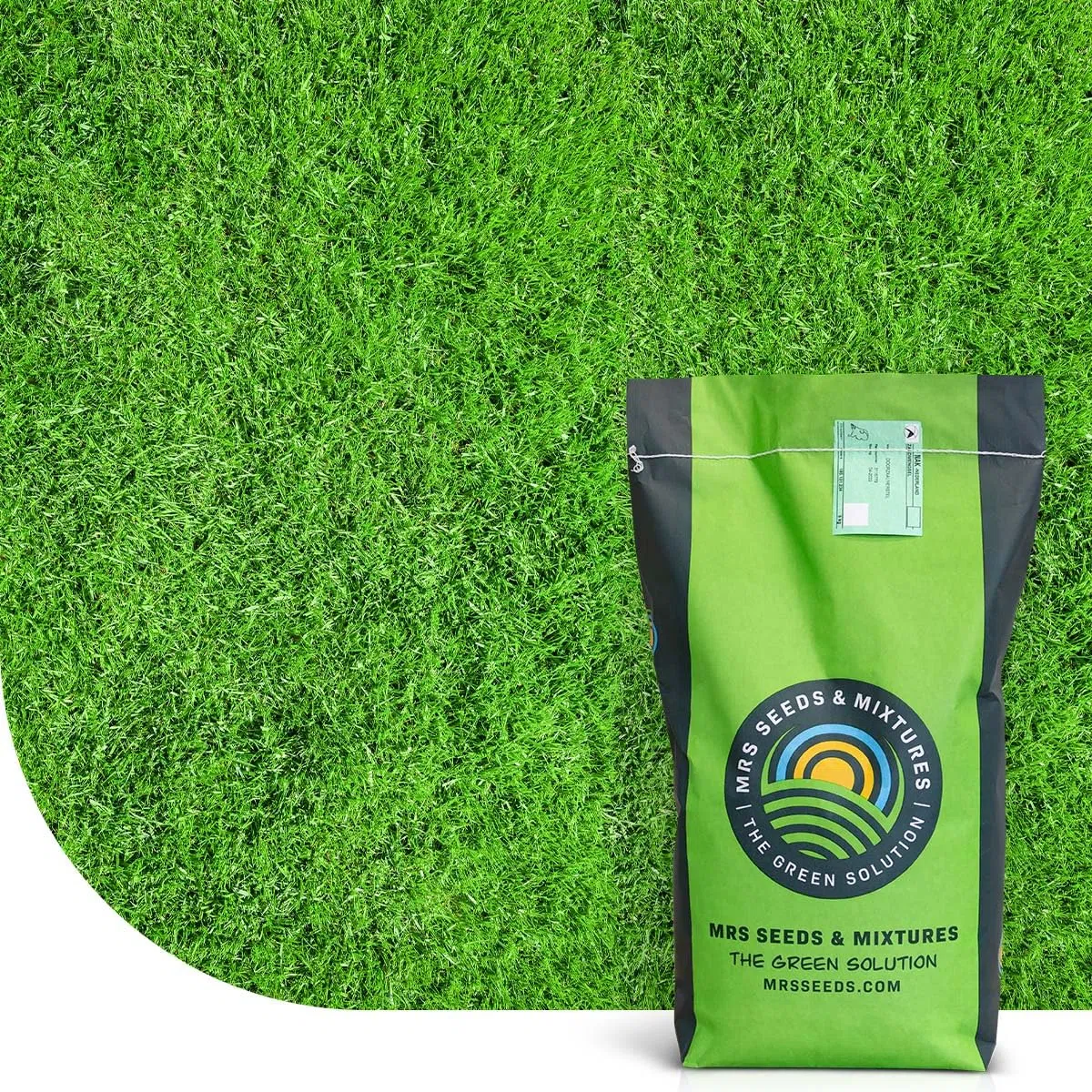 MRS Champion : Semences de gazon sport - 15 kg pour 750 m² - Gazon résistant pour sport et usage intensif - Croissance rapide et faible entretien - Adapté à tous types de sols