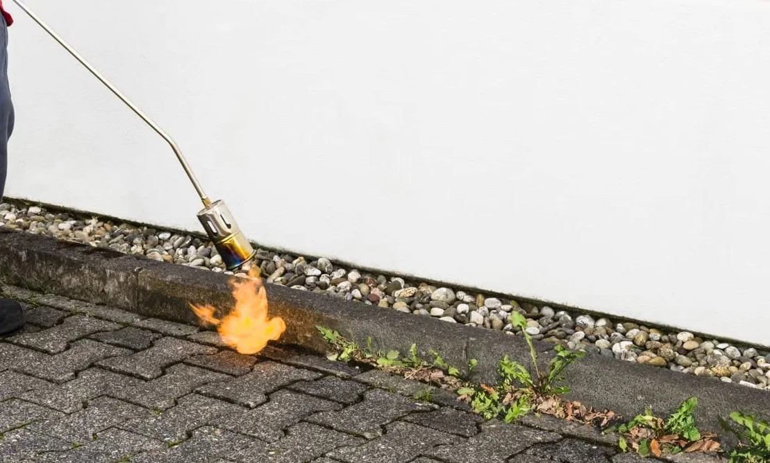 ROTHENBERGER Industrial Brûleur à gaz RoMaxi Eco | Brûleur | Désherbeur | Appareil à flamme | Soudage de membranes bitumineuses | Tête de brûleur 57 mm | Inclus : tuyau de gaz propane de 5 m 030958E