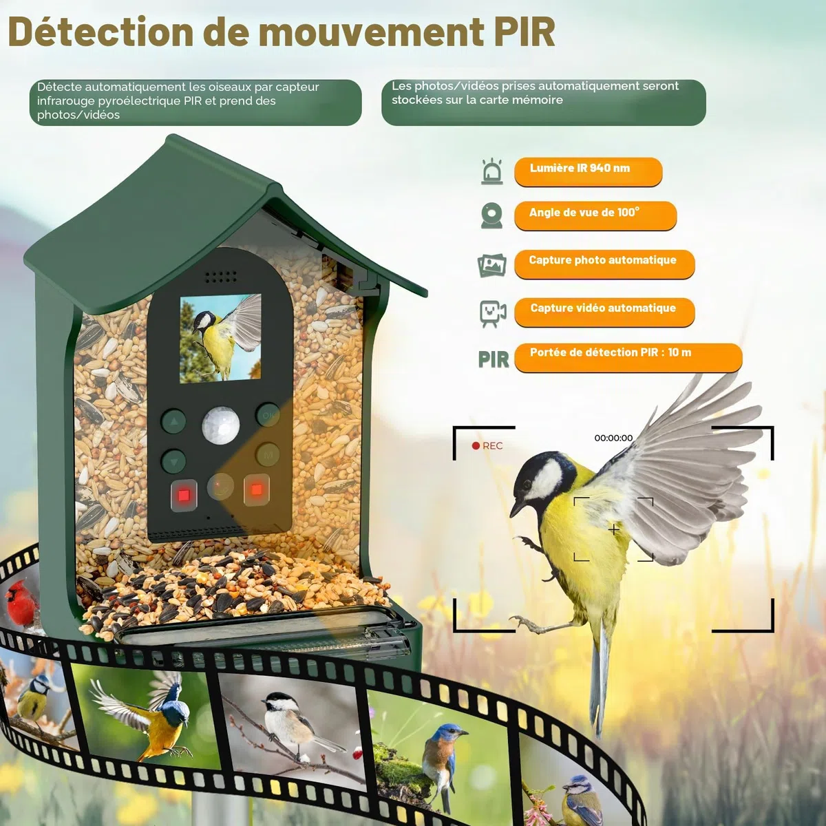 Mangeoire Oiseaux Camera, 1080P HD Vision Nocturne Mangeoire Oiseaux Exterieur Camera Intelligente Capture Automatique D’Images/Vidéos Microphone Intégré avec Mangeoire à Oiseaux Colibri
