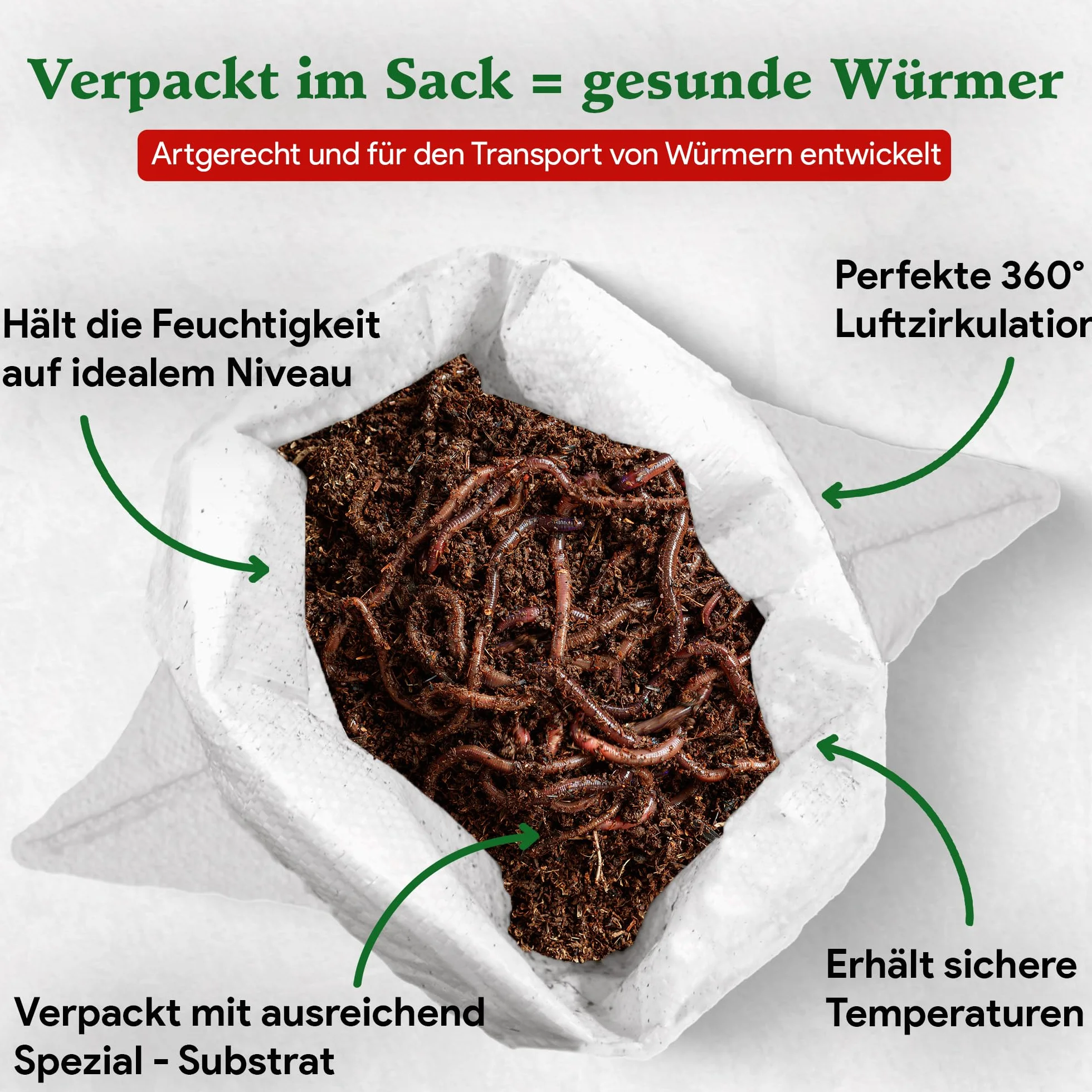 1 kg de vers de compost (min. 1000 pièces) | Vers de terre, mélange Eisenia vivant pour compost, jardin, vermicomposteur, boîte à vers, plate-bande surélevée