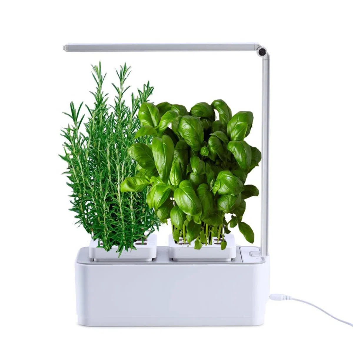Clizia Smart Garden- Potager Hydroponique D’Intérieur, Jardiniere Interieur pour Herbes aromatiques - Jardin Autonome Intelligent avec Minuterie Automatique, Lumière LED Incluse (Blanc)