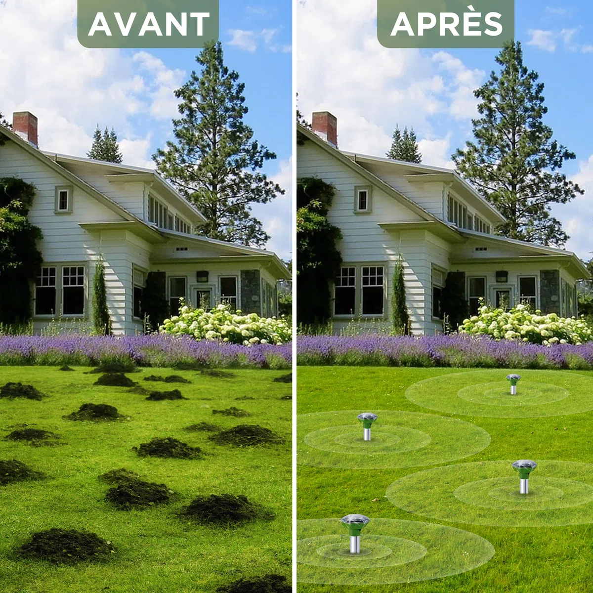 ISOTRONIC Répulsif Solaire Taupes, campagnols et Serpents – avec Piquet de Sol pour Le Jardin – Protection Efficace sans Poison – Portée 1 250 m² – Lot de 2 unités pour Grands terrains et Jardins