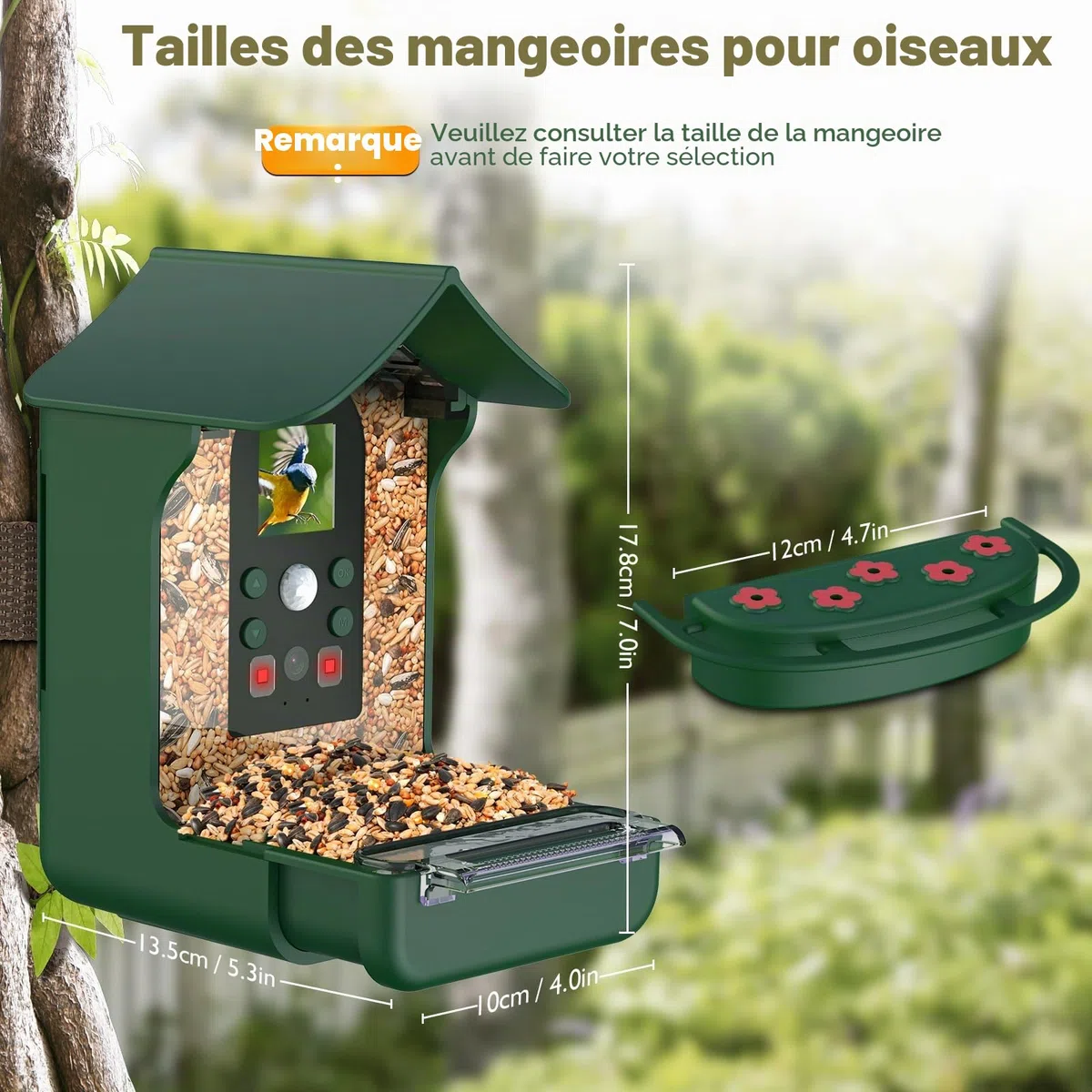 Mangeoire Oiseaux Camera, 1080P HD Vision Nocturne Mangeoire Oiseaux Exterieur Camera Intelligente Capture Automatique D’Images/Vidéos Microphone Intégré avec Mangeoire à Oiseaux Colibri