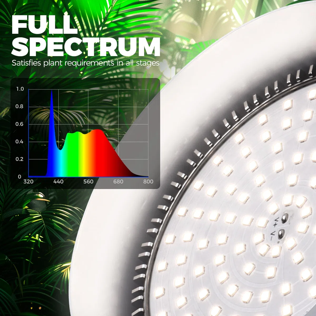 Barrina Lampe à LED pour Plantes avec Minuterie et Suspension, 25W 5000K, 4H/9H/14H Minuterie, Lampe LED à Spectre Complet Plantes d'intérieur pour Semis, Succulentes, Cactus, Croissance