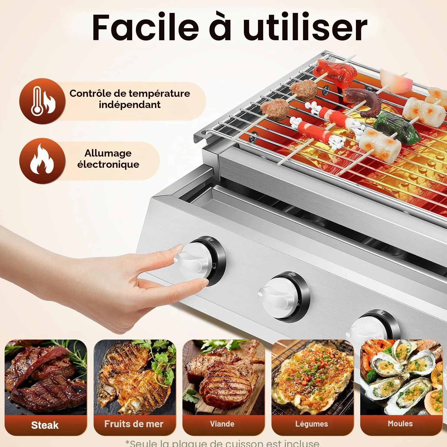 Barbecue à Gaz de Jardin en Acier Inoxydable, Grille de Cuisson Adjustable avec 4 Brûleurs, Surface de Cuisson 55x23 cm, Idéal pour Terrasse, Jardin et Extérieur (Argent)
