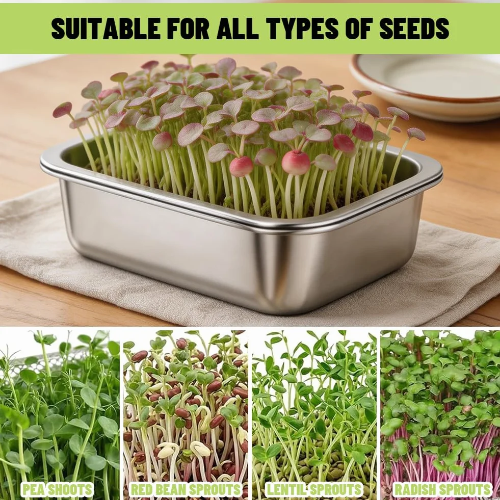 Lot de 2 Germoirs en Acier Inoxydable 26 x 19 cm, Plateau de Germination 2 en 1 pour Graines et Microgreens, Bac à Germes Réutilisable Passe au Lave-Vaisselle, Culture Facile à Domicile