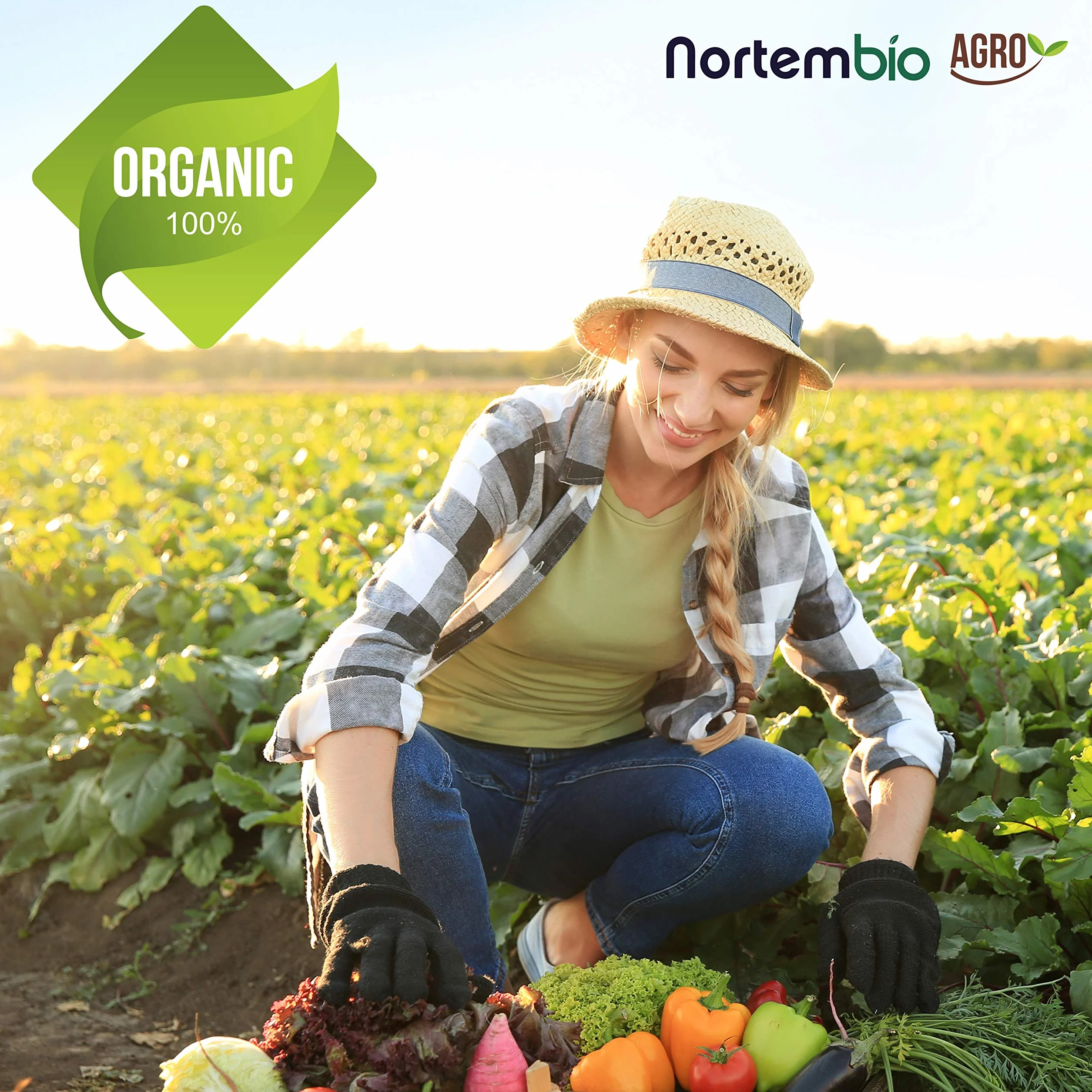 Nortembio Agro Réducteur de pH Écologique 1 L Correcteur Naturel pour Plantes et Cultures, Détartrant pour Irrigation, Améliore la Saveur, l’Arôme et la Croissance Usage Universel