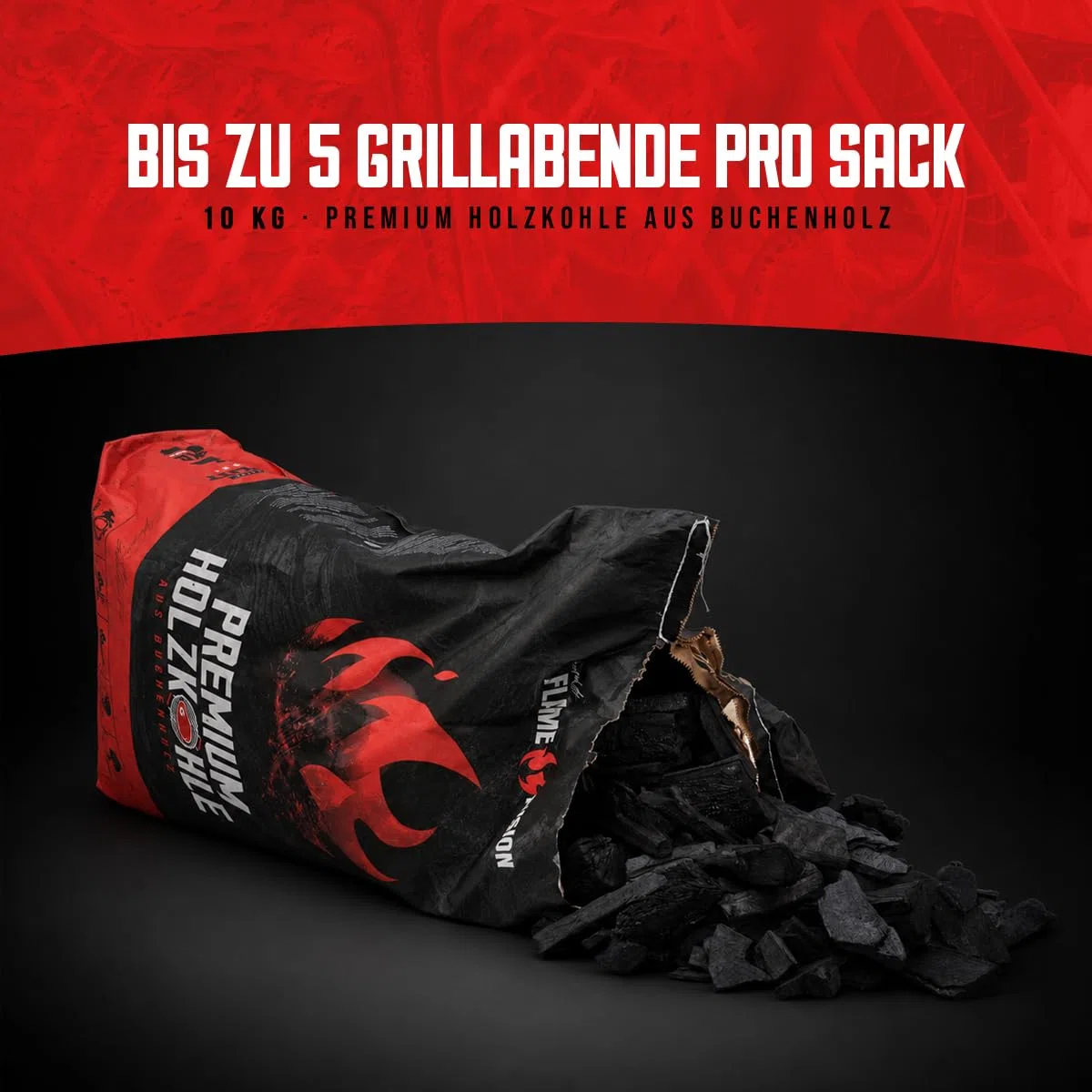 Charbon de Bois Premium 10 kg en hêtre qualité Restaurant - 1 Sac (1x 10 kg) Charbon hêtre Gros Morceaux Longue Combustion Haute Chaleur pour Barbecue et Grill