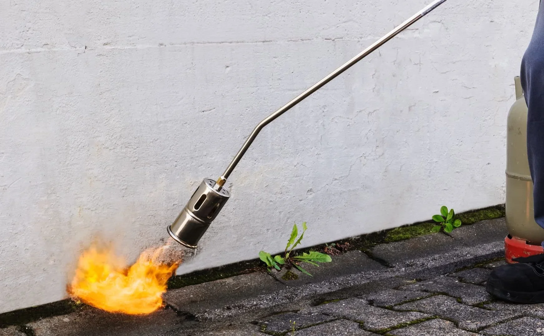 ROTHENBERGER Industrial Brûleur à gaz RoMaxi Eco | Brûleur | Désherbeur | Appareil à flamme | Soudage de membranes bitumineuses | Tête de brûleur 57 mm | Inclus : tuyau de gaz propane de 5 m 030958E