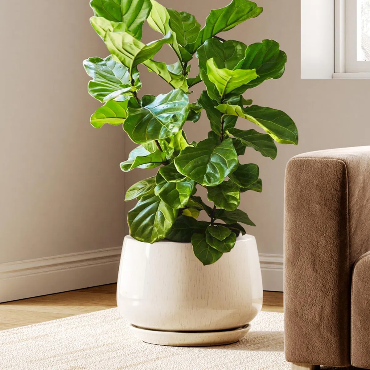 LE TAUCI Pot de Fleurs en Céramique, Pot pour Plantes 30 cm avec Trou de Drainage et Soucoupe, Pot de Fleurs d’Intérieur Durable pour Décoration Moderne de la Maison, Beige