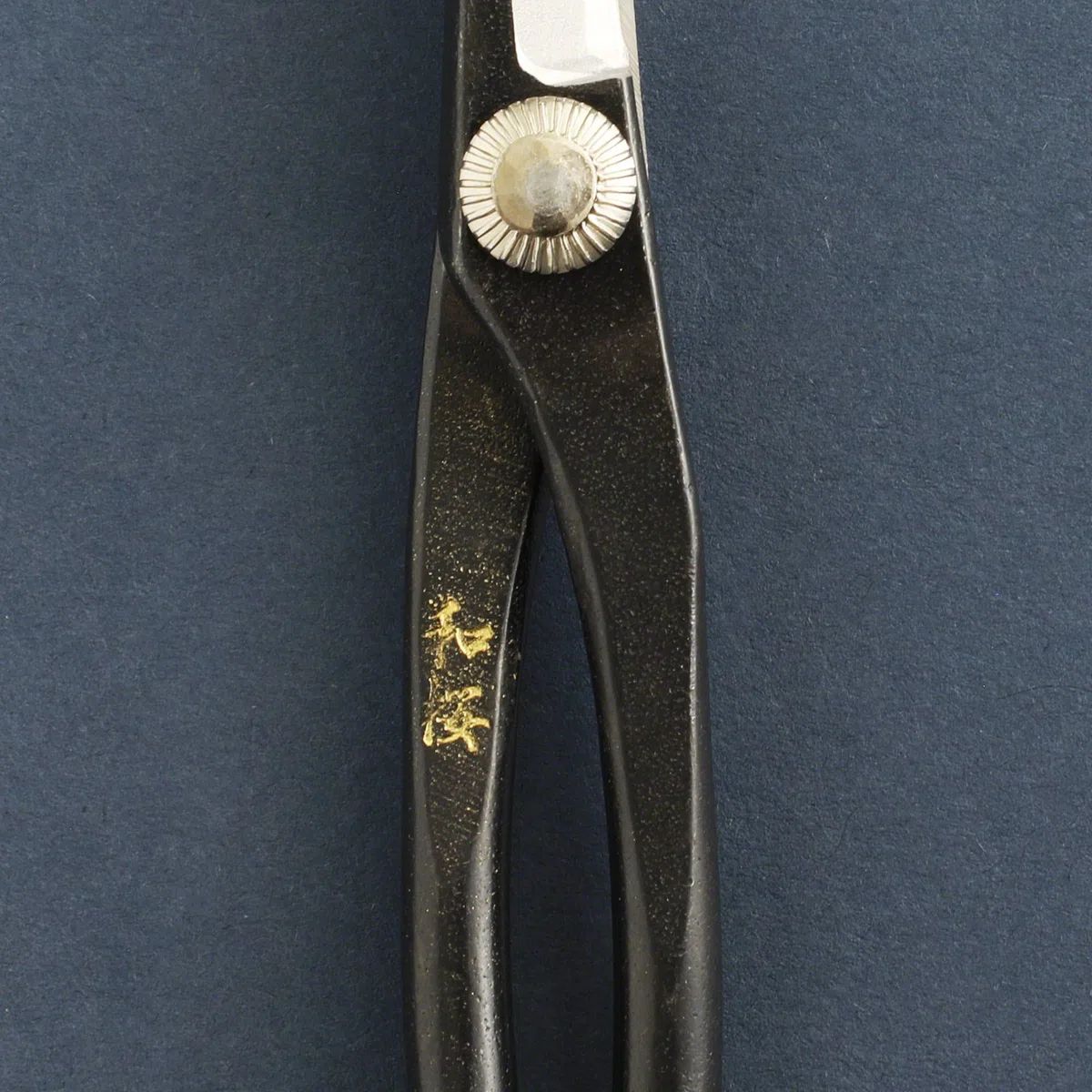 Wazakura Kit Outils Essentiels pour Bonsaï et Jardinage, Fabriqué au Japon en Acier Japonais Yasugi, Ciseaux Satsuki 180 mm, Coupe Branches 200 mm, Pince en Acier Inoxydable, Gomme à Sève