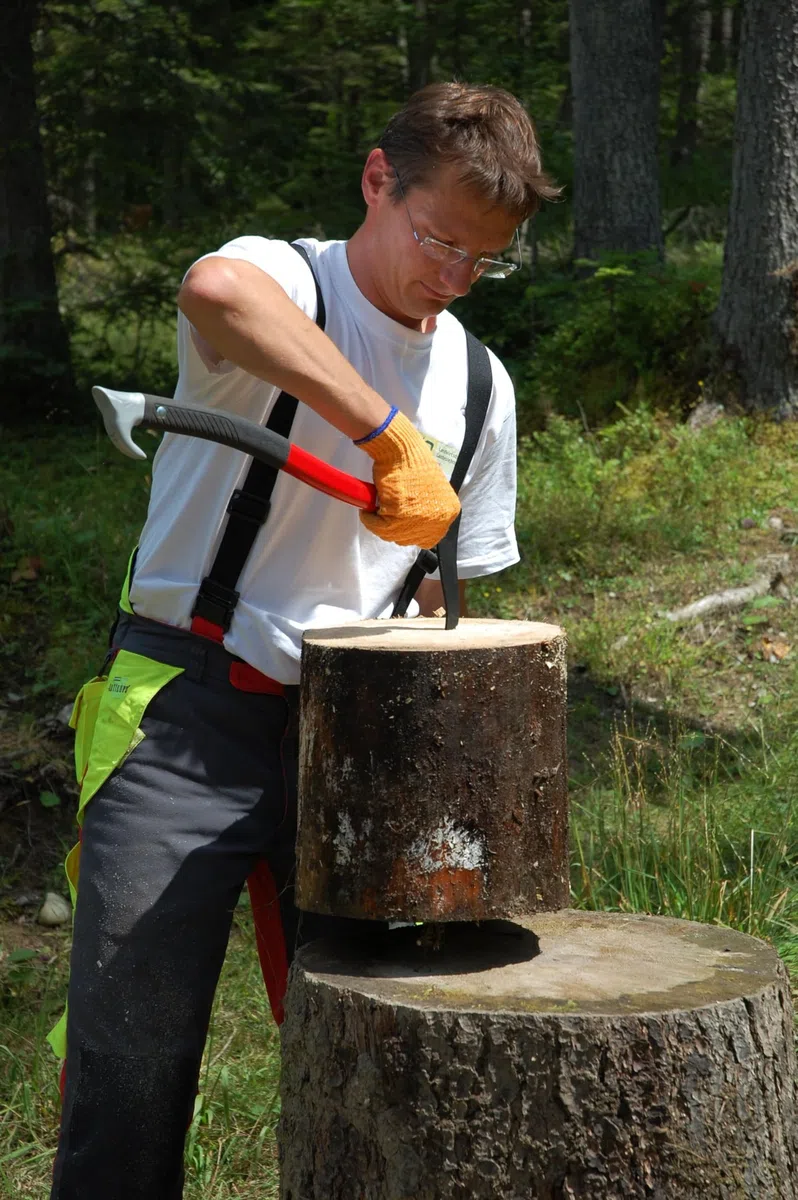STUBAI Handsappie | Manche Ergonomique incurvé en Aluminium | 500 mm | Tire-Branche | Pince à Main pour ramasser, déplacer et Transporter des Morceaux de Bois et des Troncs d'arbres