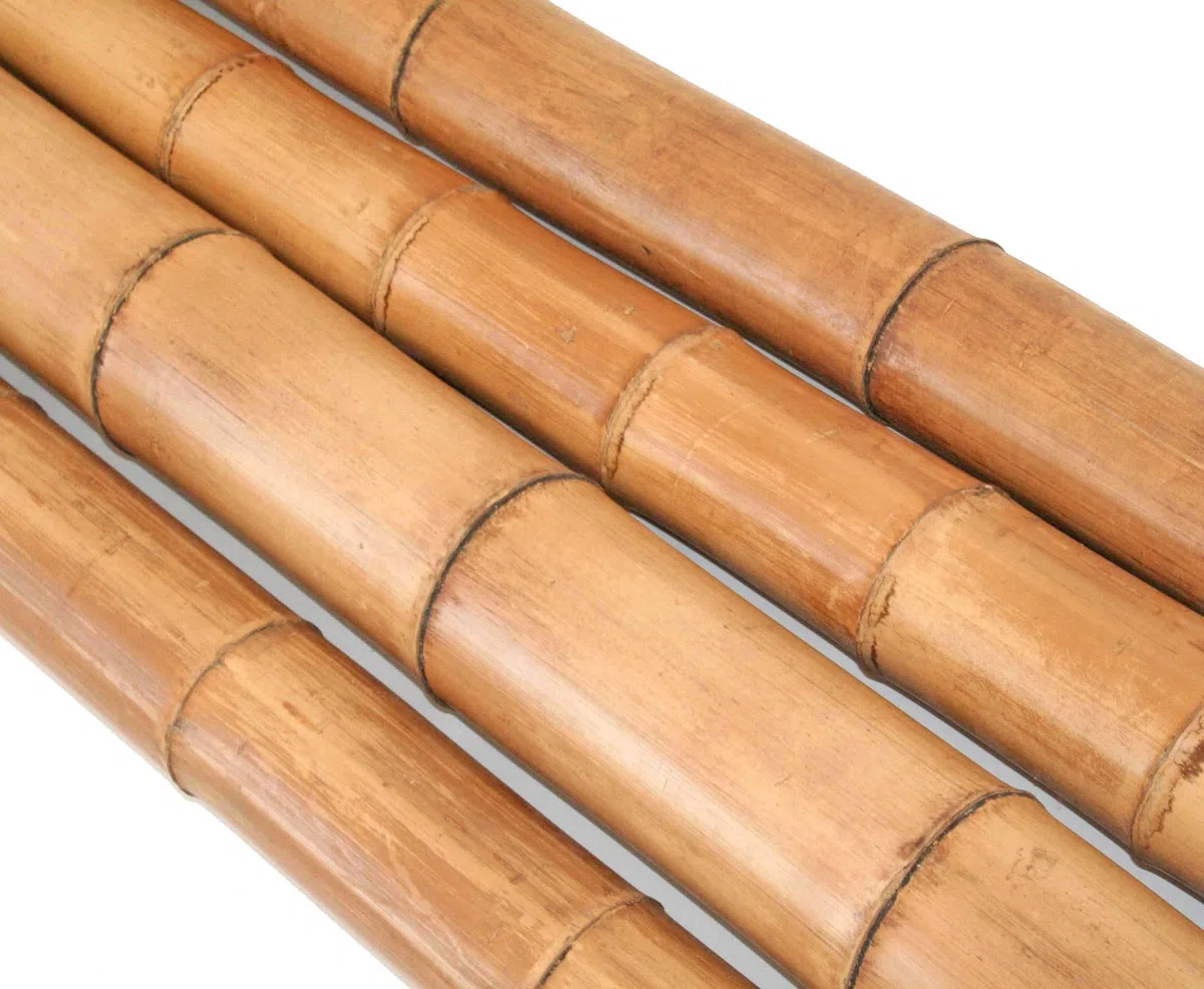 Madake Tige en bambou naturel - 180 cm de long - 8-10 cm de diamètre - Traité thermiquement - Conique - Pour projets de jardin et constructions