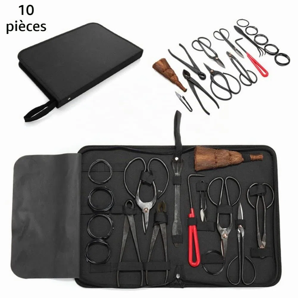 Bonsai Kit Outils Ensemble Outils de Jardinage Ciseaux Cisaille en Acier Carbone avec Étui en Nylon pour Jardin Topiaire