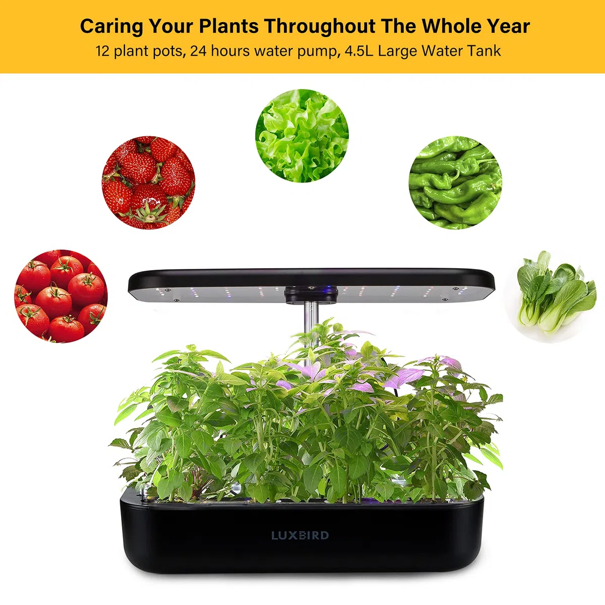 Système de culture hydroponique réglable en hauteur avec lumière LED intelligente, système de culture hydroponique Smart Control, kit de germination de grande capacité pour le jardinage domestique