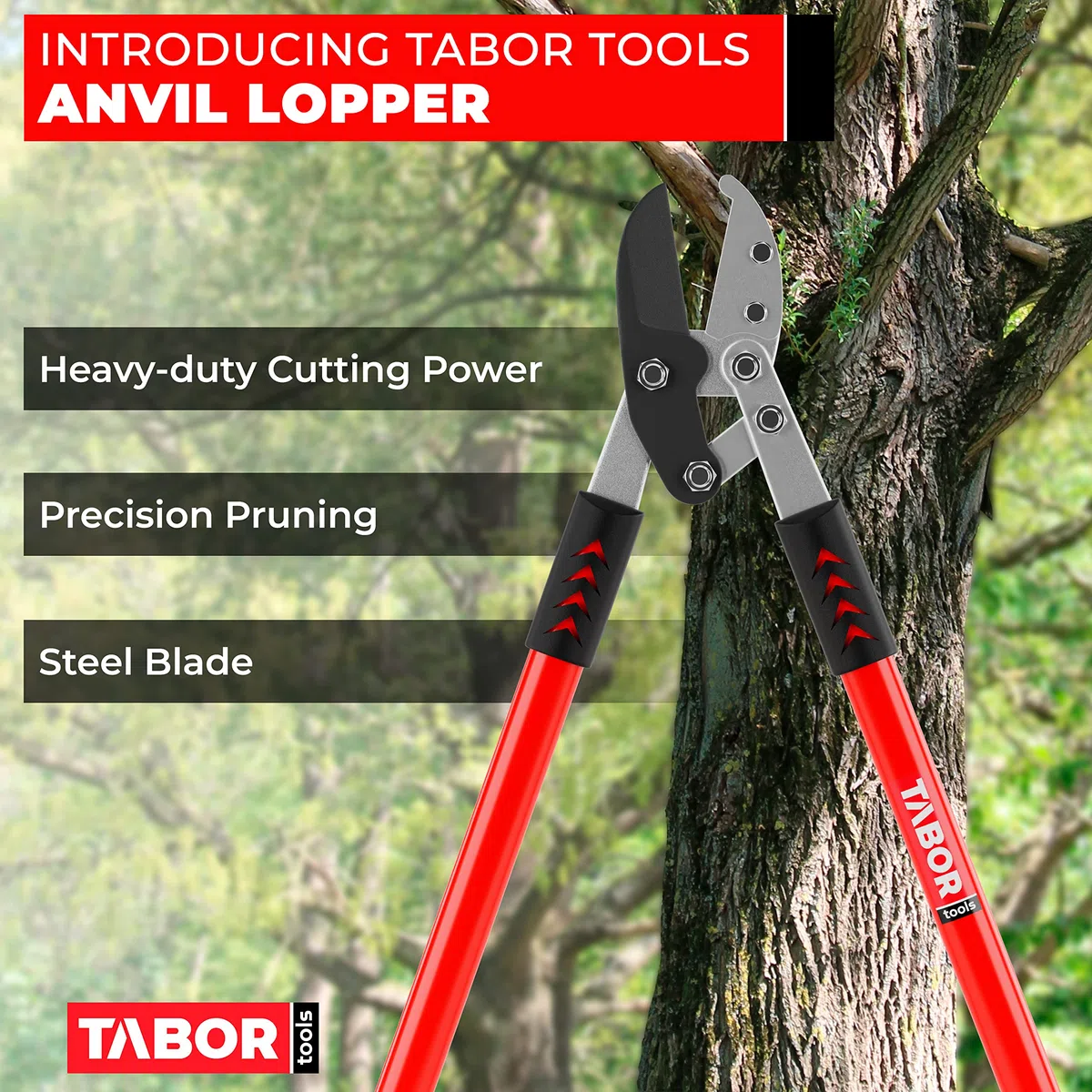 TABOR TOOLS GG12E Élagueur professionnel à enclume, coupe des branches épaisses avec facilité, coupe-arbre avec capacité de coupe de 5 cm, sécateur avec poignées à effet de levier supplémentaires