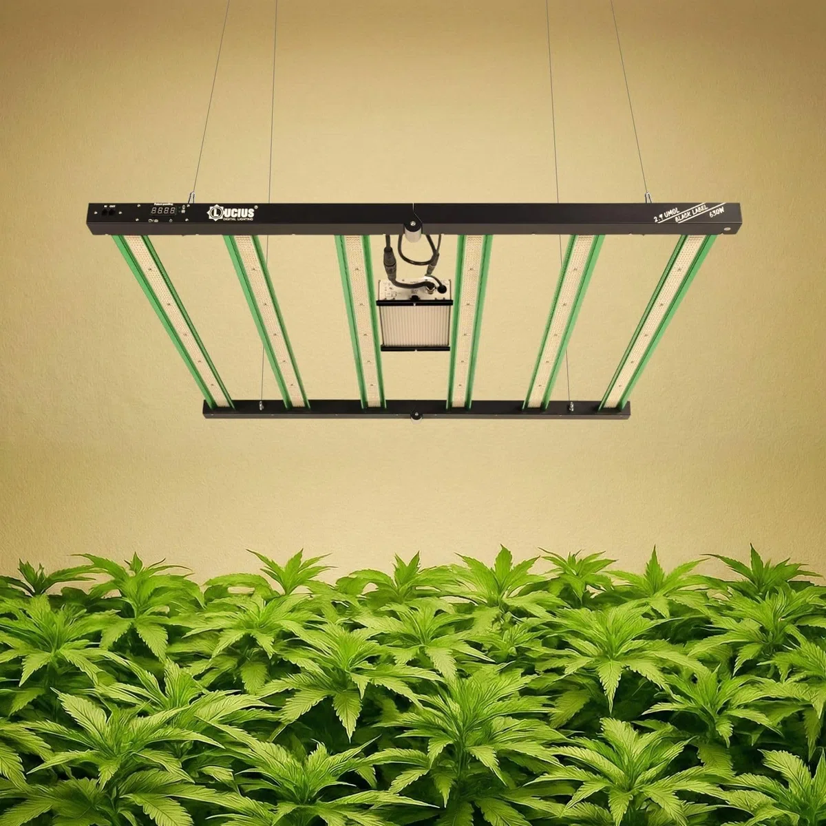 LUCIUS - Lampe LED 630W 2.9 Master Control - Culture complet Croissance/Floraison, UV IR, Fonction Crépuscule/Aube, Intensité réglable, Serres et plantes d’intérieur, légumes et fleurs