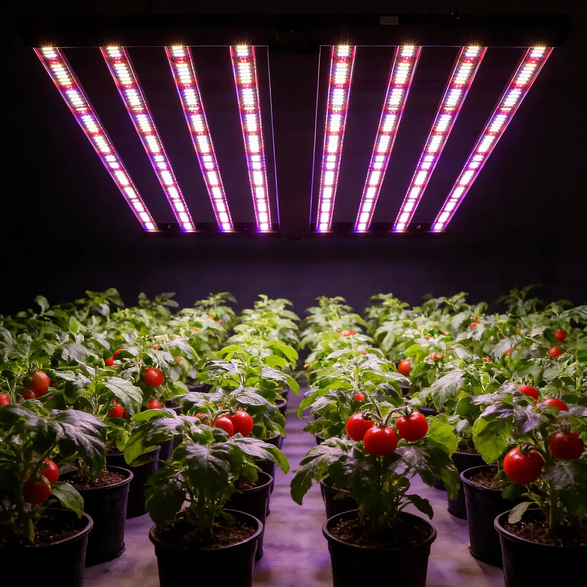 Garvee 600/720/1000w Lampe LED Horticole à 8 Bandes, 230V Lampe Plante Interieur avec Lumière Réglable et Pliable, Couvre 4x4 Pieds, Convient Aux Plantes D'intérieur, Aux Semis y Aux Légumes