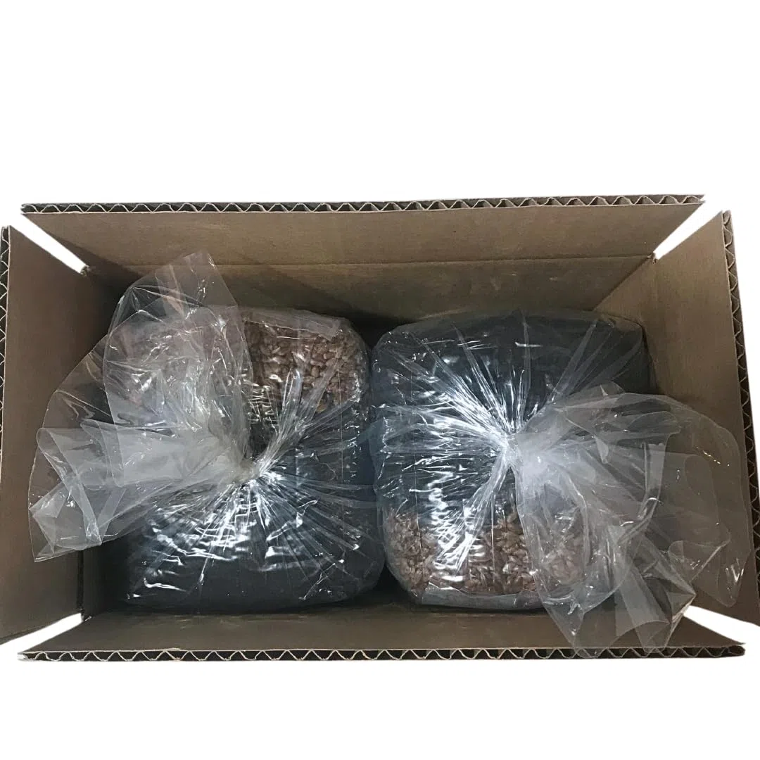 Kit de culture de champignons – Sacs de culture Magic tout-en-un – Lot de 4