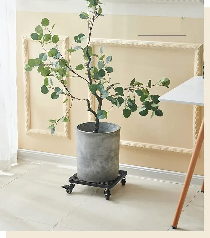 Chariot pour pot de fleurs – Support mobile durable avec freins, maniabilité facile sur roulettes pour l'intérieur et le jardin