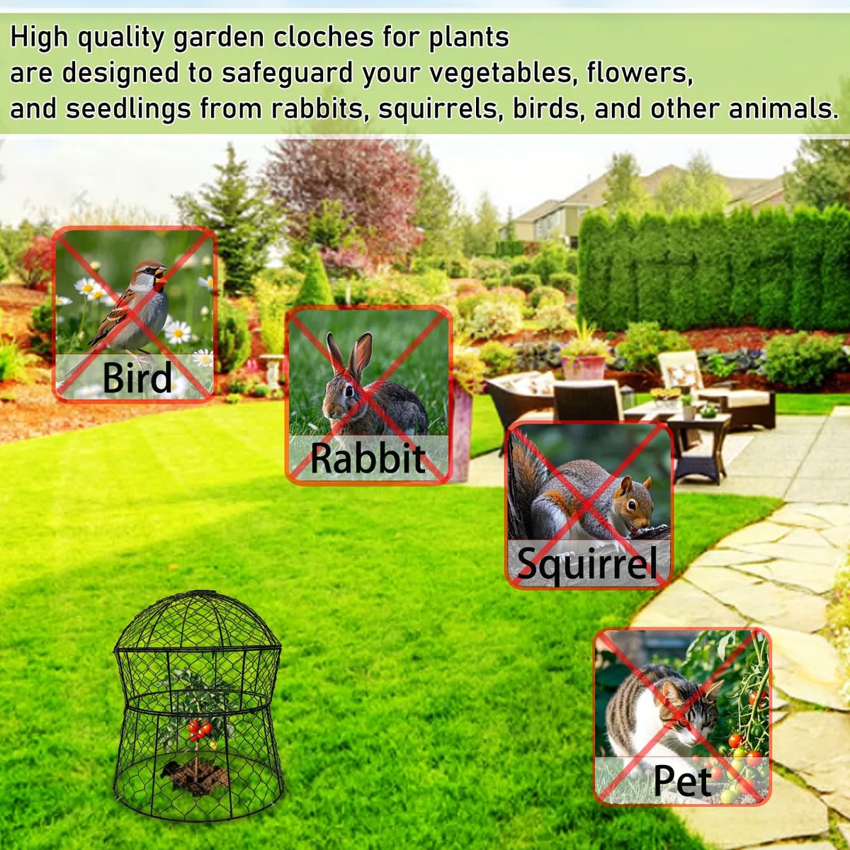 Lot de 6 cloches de jardin en métal pour plantes contre les animaux, cloches en fil de poulet, cages à plantes mises à jour pour plantes d'extérieur, légumes, semis, 33 x 35,6 cm