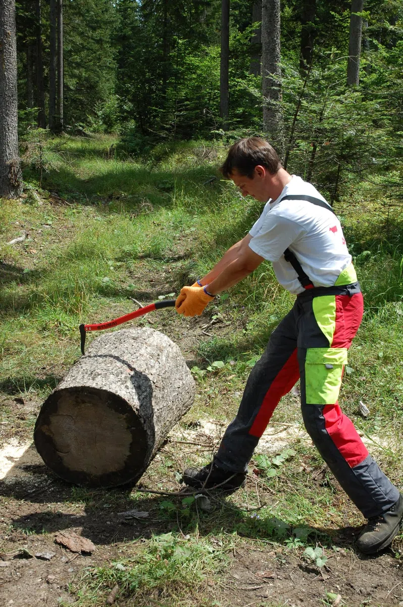 STUBAI Handsappie | Manche Ergonomique incurvé en Aluminium | 500 mm | Tire-Branche | Pince à Main pour ramasser, déplacer et Transporter des Morceaux de Bois et des Troncs d'arbres